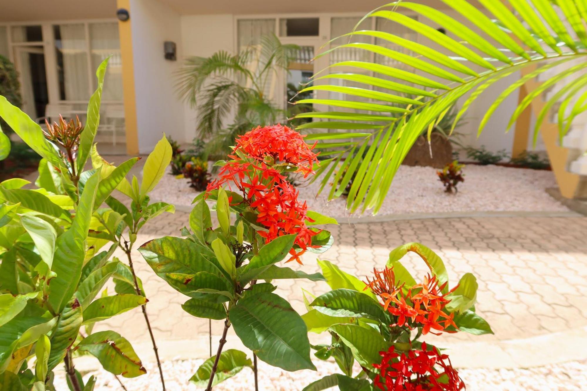 Montana Eco Resort Aruba Oranjestad Esterno foto